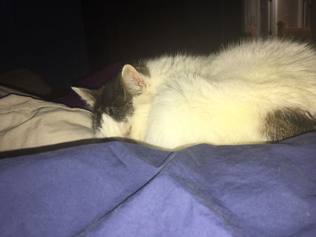 Post surgery (3?)