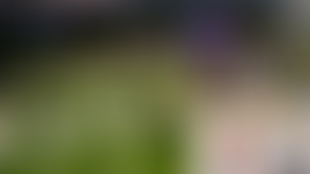 The Blind Shooting The Blind.