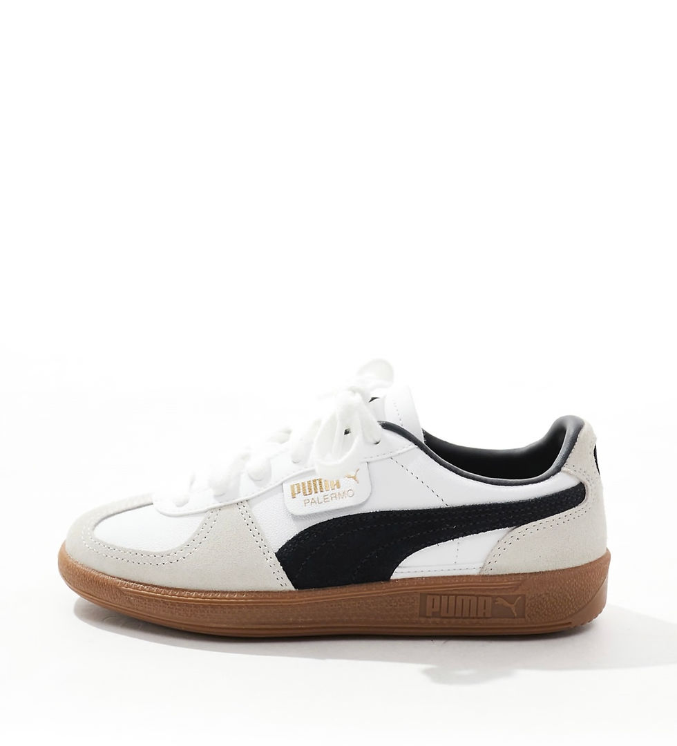 Thumbnail: Puma Palermo