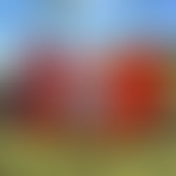 Jogos do Campeonato Amador de Uberlândia Divisão Especial 2025