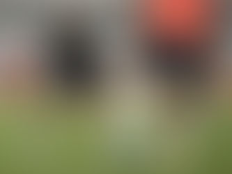 Seleção Brasileira faz primeiro treino após definição do Paraguai como adversário