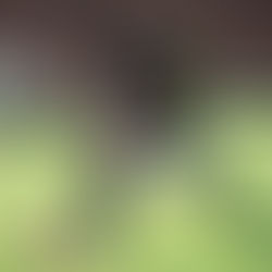 Uberlândia perde para o Itabirito em casa pelo Mineiro