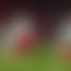 Marrocos empata com Mali pela Copa Africana de Nações