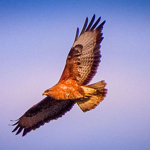 New Moon in Aquarius February 17