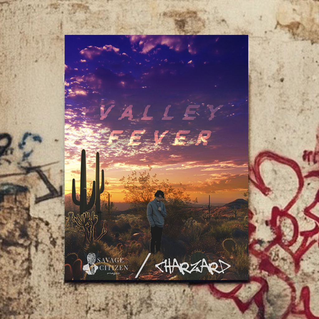 Valley Fever Poster 18" x 24"