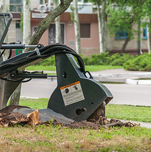 Machine crushes the stump