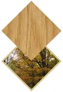 Oak / Chêne