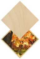 Maple / Érable