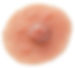New Attitude custom made nipple prosthes