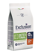 EX Intestinal large.png