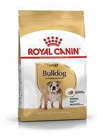 Breed-Bulldog.jpeg