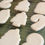 Thumbnail: Array of undecorated Christmas cookies on cooling rack closeup. Christmas DIY Kit