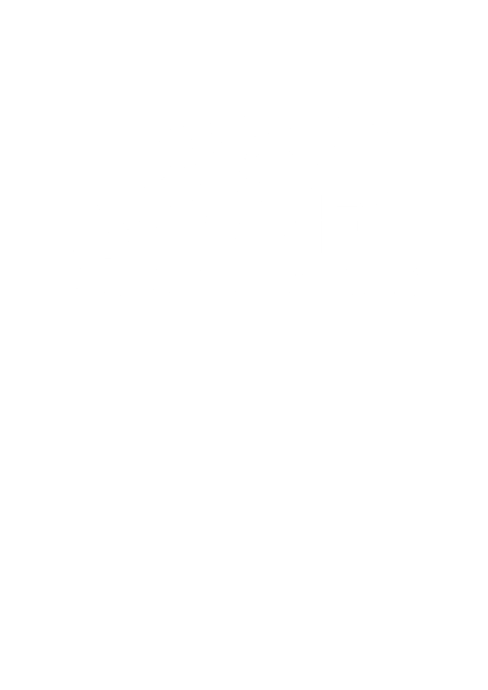 Shift Monkey, Bay of Plenty paint protection specialists.