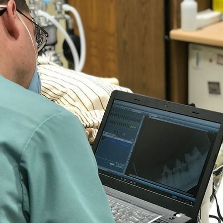 Thompson Animal Medical Center | Vet Clinic | Animal Hospital | Dental X-Ray | Cat Dental | Dog Dental | Pet Dental | La Crosse
