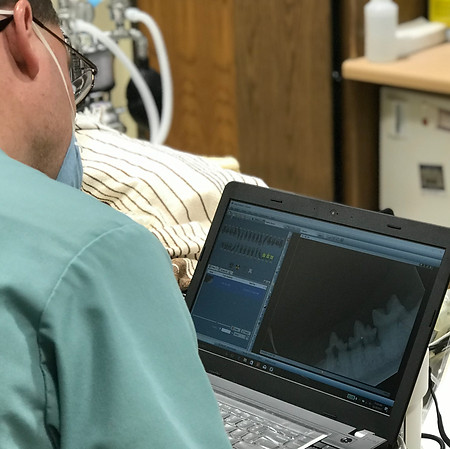 Thompson Animal Medical Center | Vet Clinic | Animal Hospital | Dental X-Ray | Cat Dental | Dog Dental | Pet Dental | La Crosse
