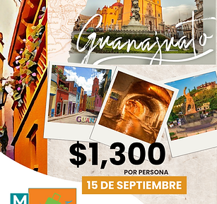 Poster Agencia de Viajes Marrón   (3).png
