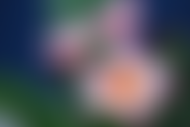 The Girly Times! Take 4