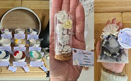 WEALTH BEAR_20251005_112645_0000_edited.