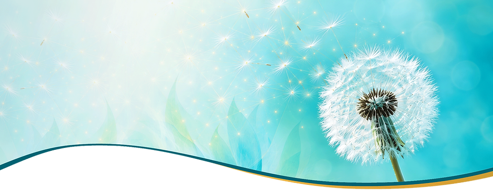 Pusteblume.png