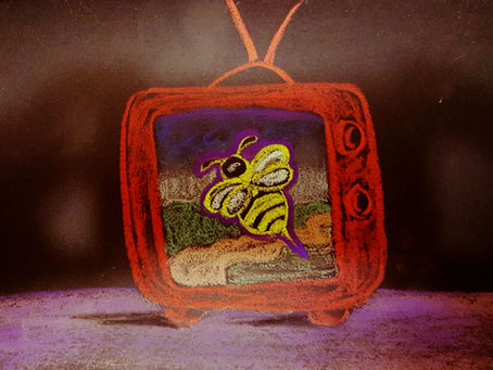 Support Helps Live Show and Bee Stings