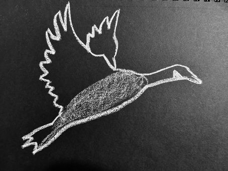 Geese