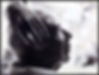 Henry Miller Profile