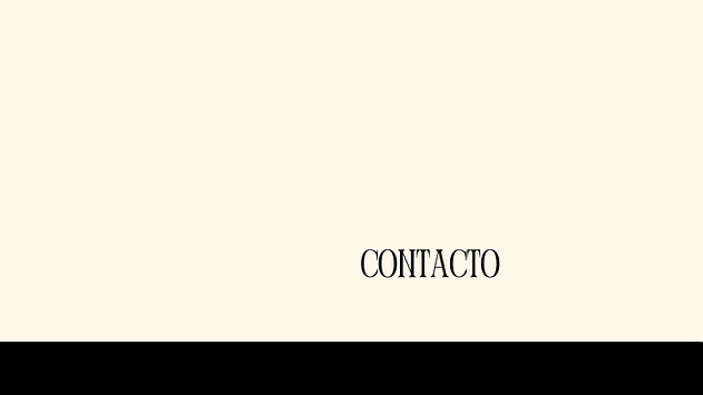 porfolio actualizado(33).png