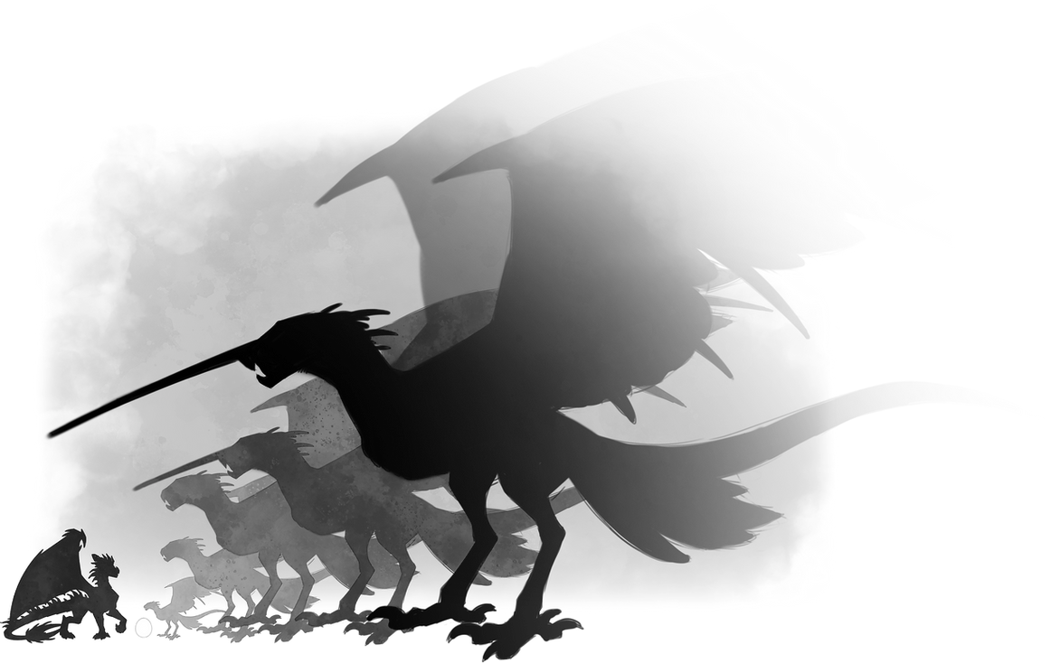 Raptor Sizes.png