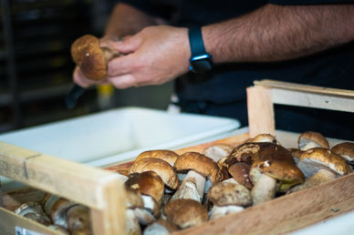 culinaire, artisanat, restauration, entreprise