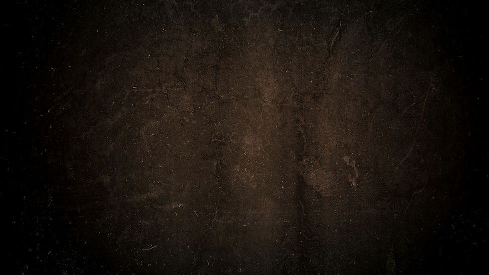 WEB (2560 x 1440 px) (1)_edited.jpg