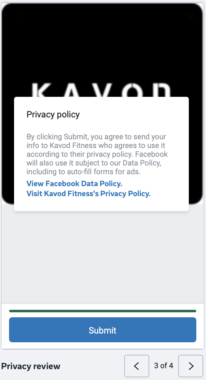 Step 3: Privacy review screen with links to the privacy policy
