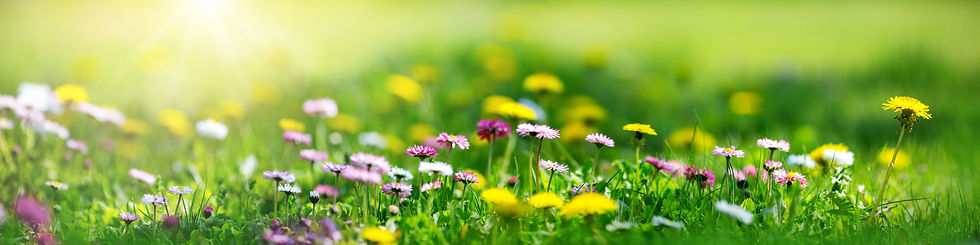 AdobeStock_314301170.jpeg