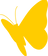 papillon2_edited.png