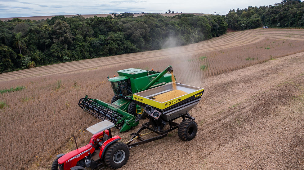 REX 20.000 | CARRETA GRANELEIRA