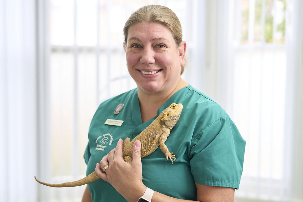Claire Kennedy - Registered Veterinary Nurse - Ipswich