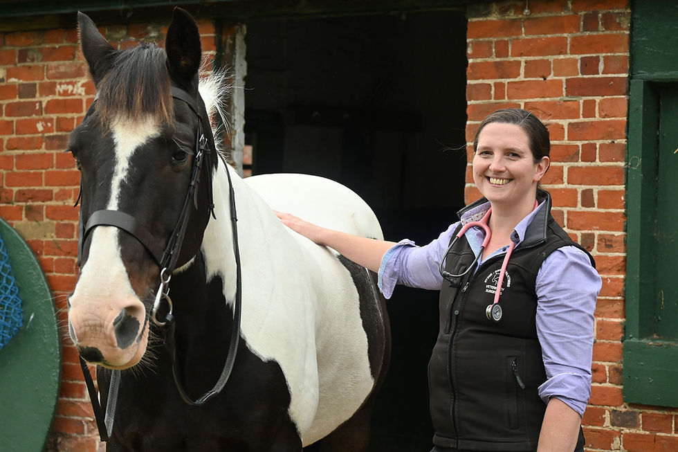 Equine Visits & routine services Dental services Routine vaccination Passports and microchipping