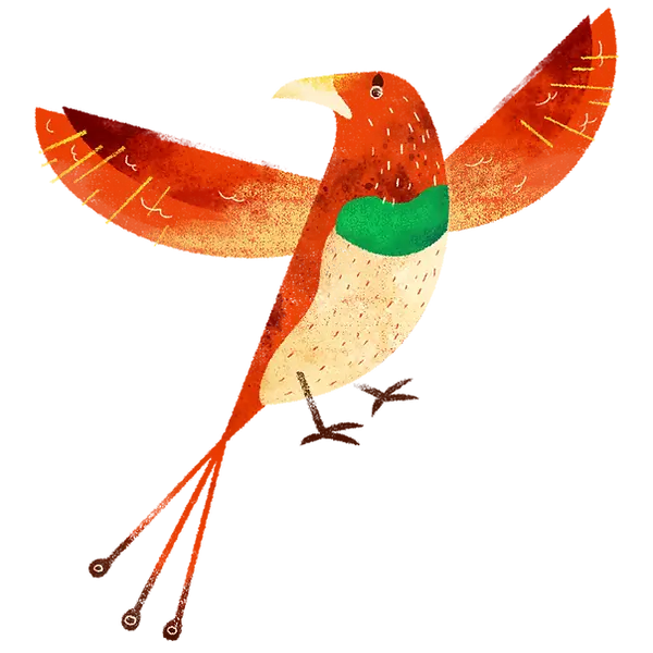 oiseau coloré