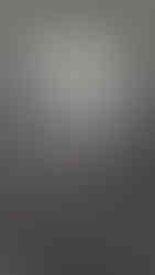 Chien de montagne des Pyrénées