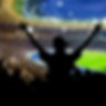 Crowd in the Stadium