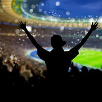 Crowd in the Stadium