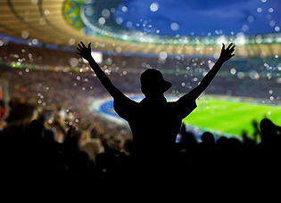 Crowd in the Stadium