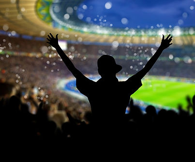 Crowd in the Stadium