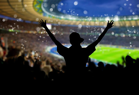 Crowd in the Stadium