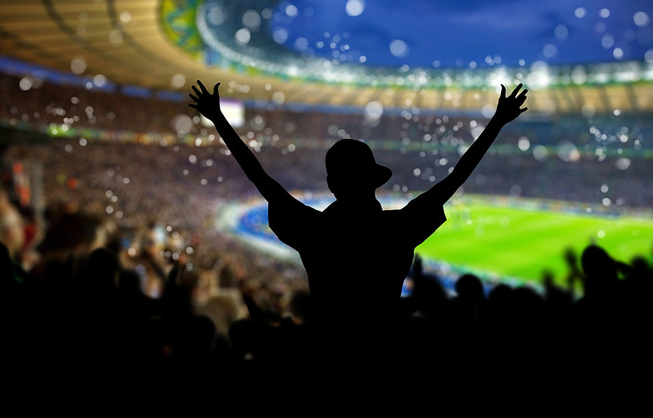 Crowd in the Stadium