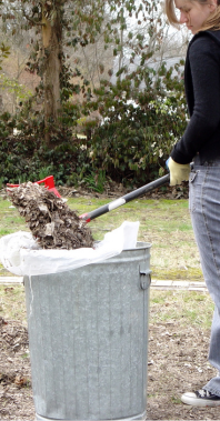 Untitled design (3).png