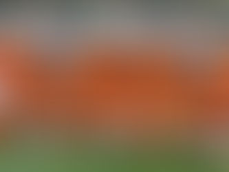 那些年的賀歲盃