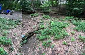 Student Summer Conservation Efforts in Rock Creek Watershed