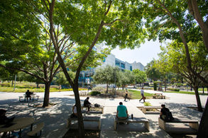 From EdSource: Why Do College Students Choose Summer School?