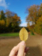 ree