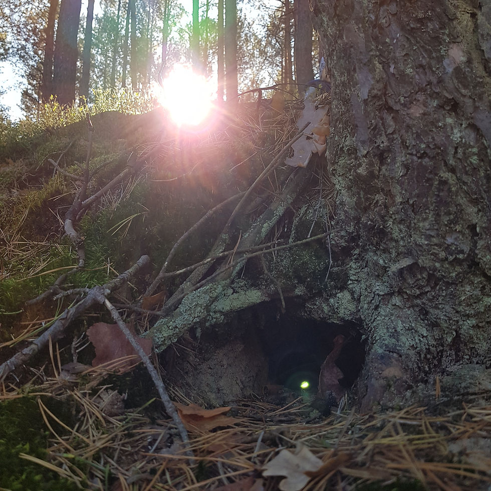 dwarf house